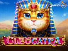 Yeni casino slot siteleri. Çirkin kedi.6